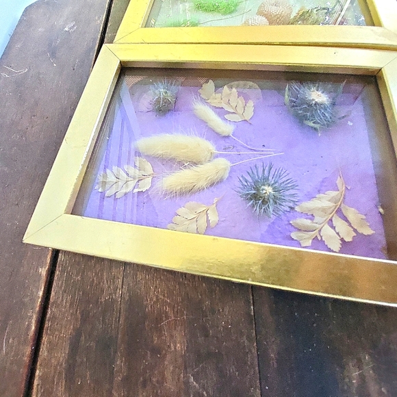 Dried Flower Taxidermy Framed Shadow Box Art Set of 2 - Picture 10 of 11